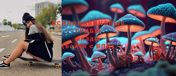 амф Няндома