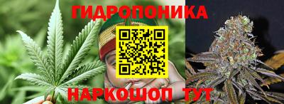 гашишное масло Гусев