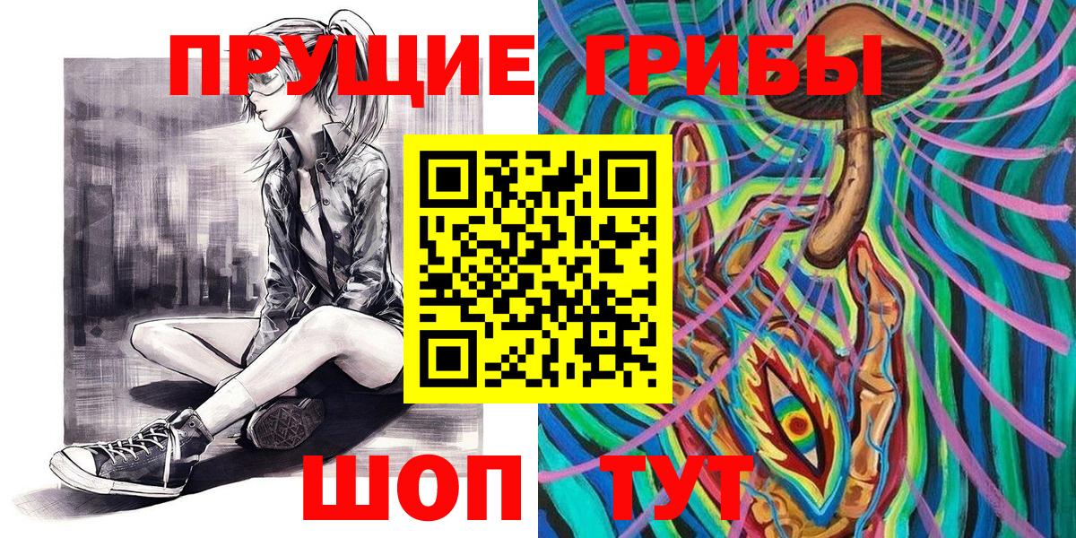 хочу   Касимов  Галлюциногенные грибы Psilocybe 