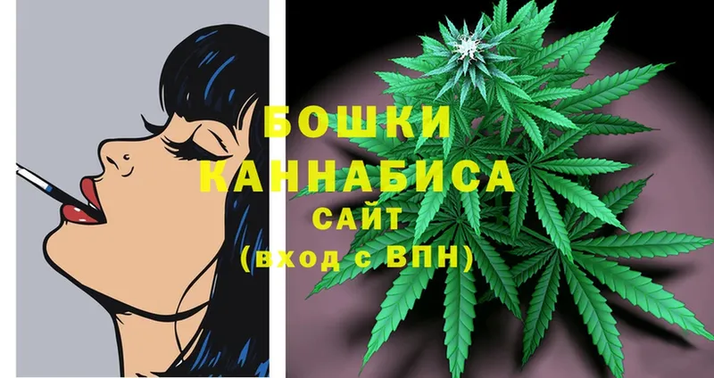 Конопля OG Kush  Касимов 